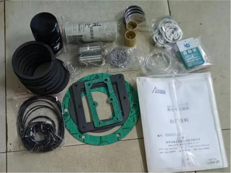 Поршневой компрессор СНГ ZW-3.016-24 (9)