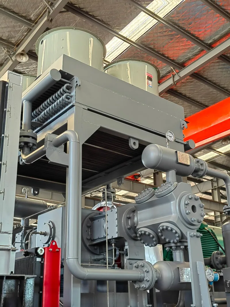 Поршневой компрессор природного газа DFW-3.7(8–12)-52 (6)