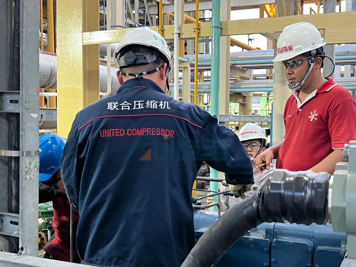 Проект в Индонезии